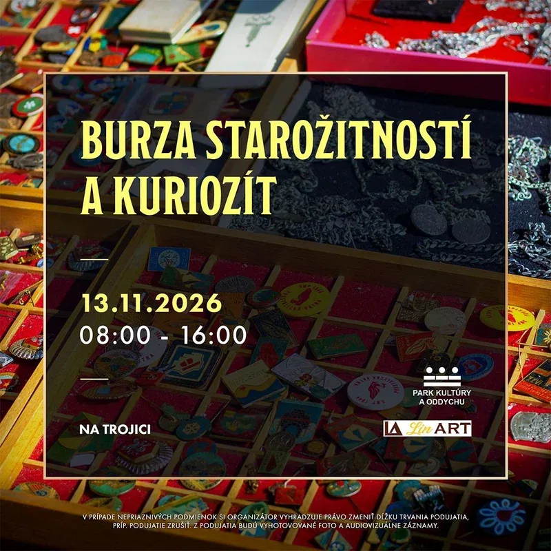 BURZA STAROŽITNOSTÍ A KURIOZÍT