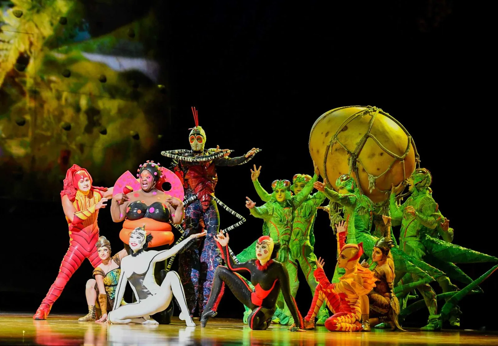 Cirque du Soleil: Ovo