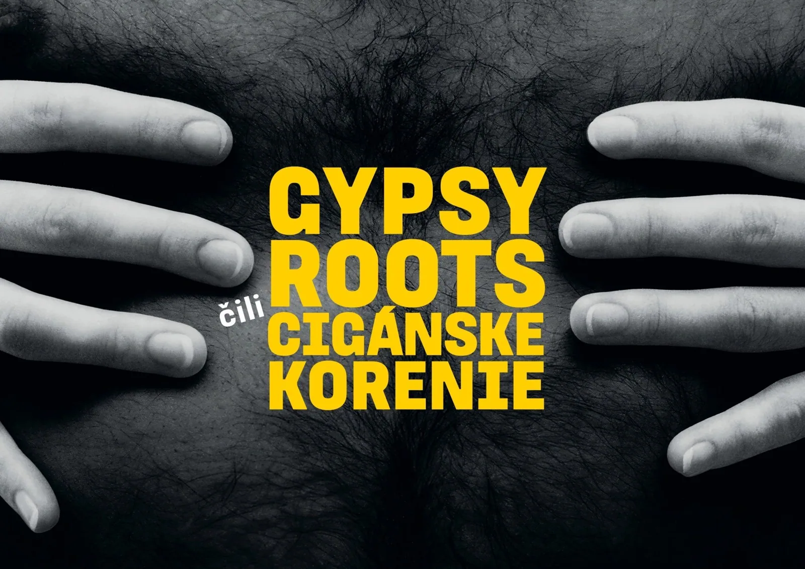 GYPSY ROOTS čili CIGÁNSKE KORENIE