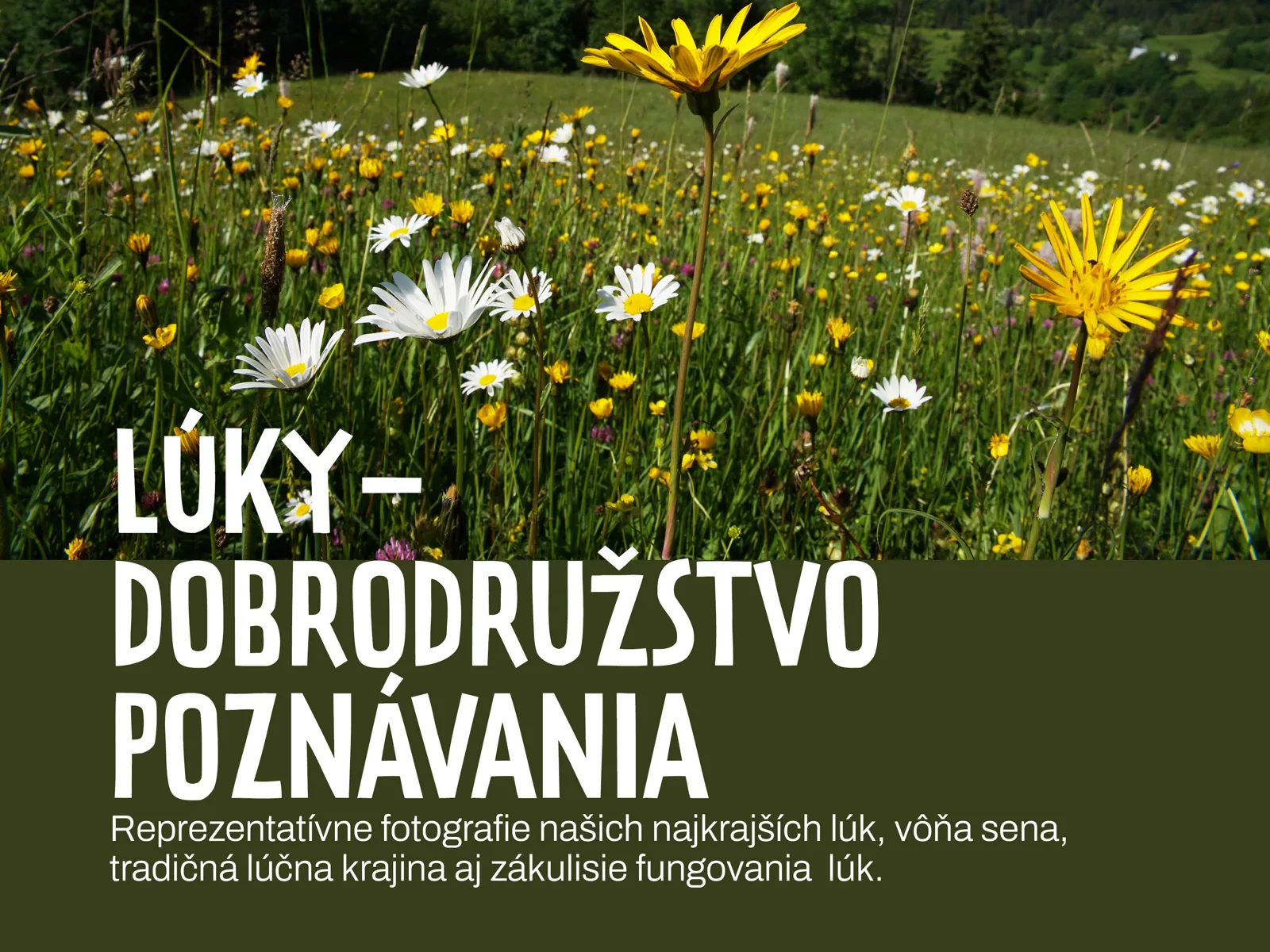 Lúky – Dobrodružstvo poznávania