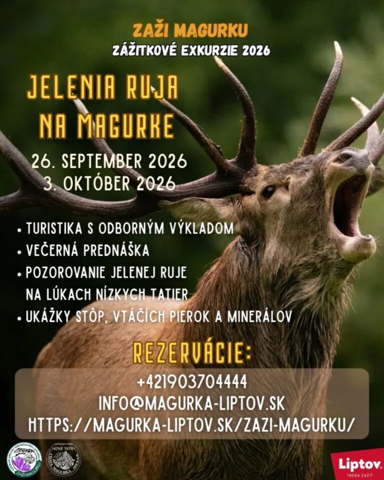 JELENIA RUJA (Chata Magurka)
