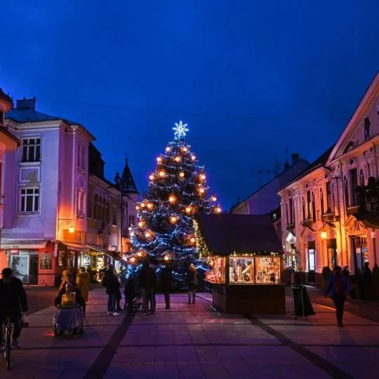 Vianočné trhy Piešťany 2026