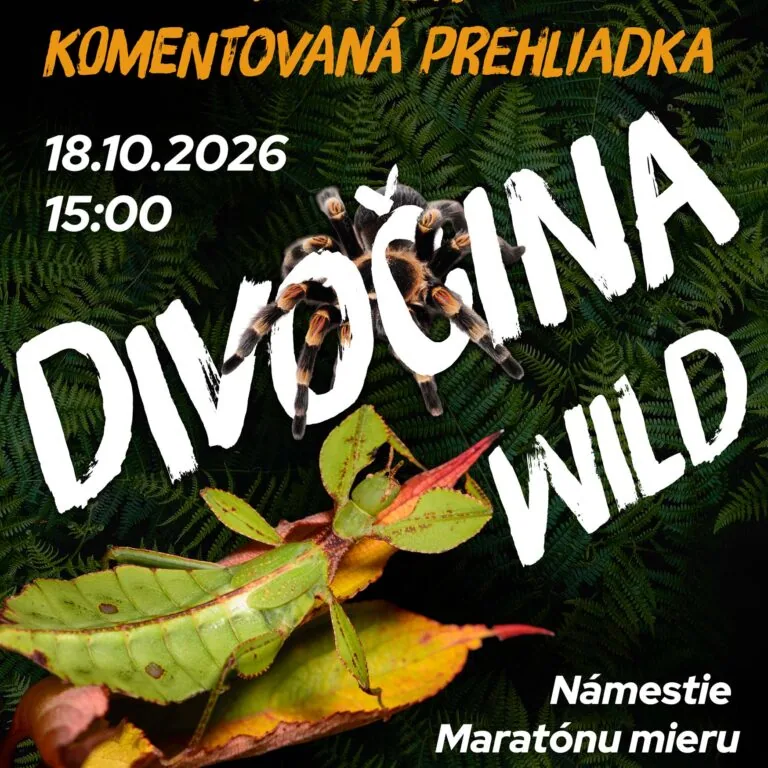 Divočina – posledná zážitková komentovaná prehliadka