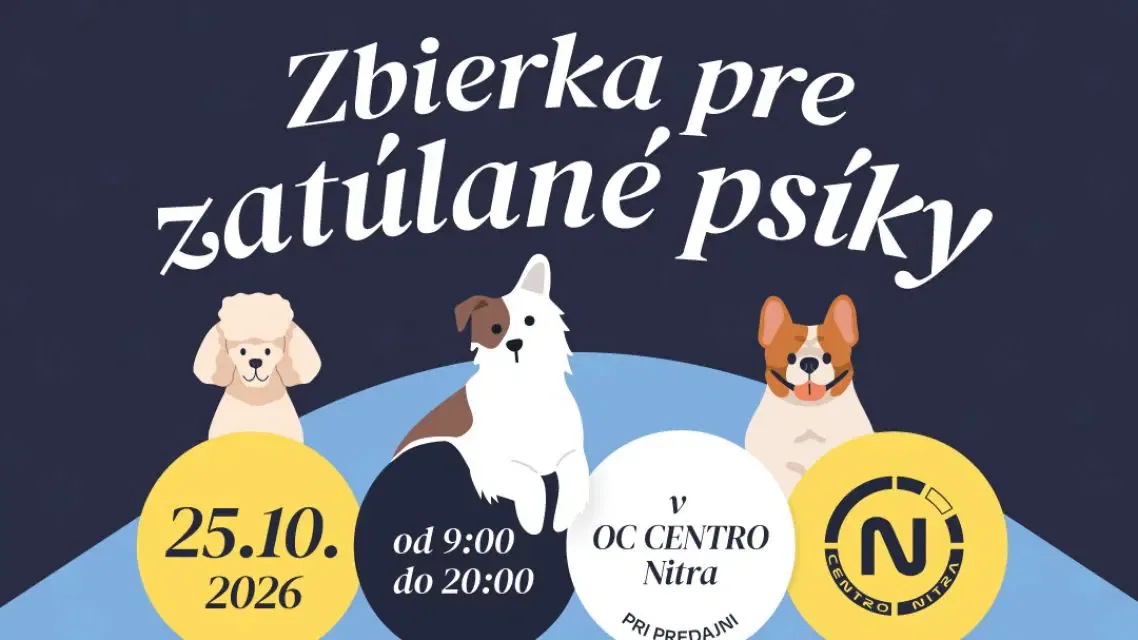 Zbierka pre zatúlané psíky