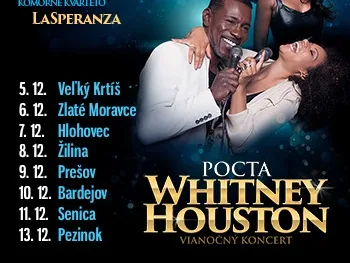 Vianočný koncert - Pocta Whitney Houston