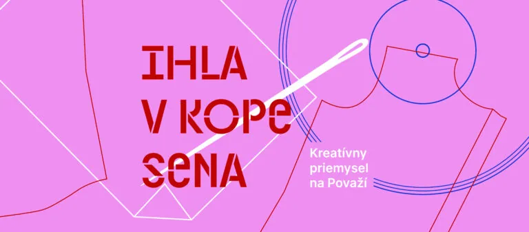 Ihla v kope sena