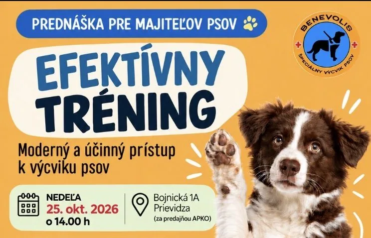 Šťastné labky - efektívny tréning