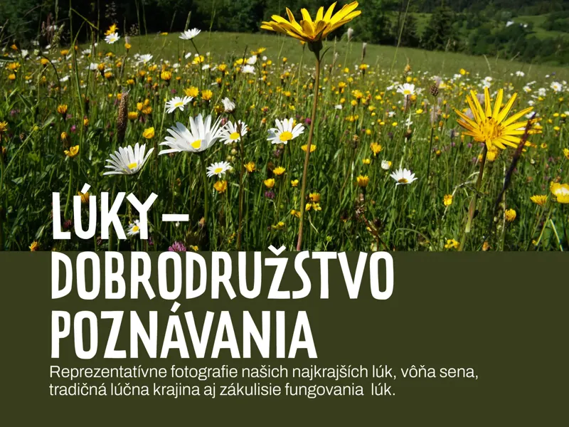 Lúky – Dobrodružstvo poznávania