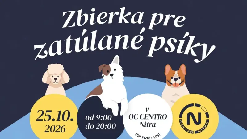 Zbierka pre zatúlané psíky